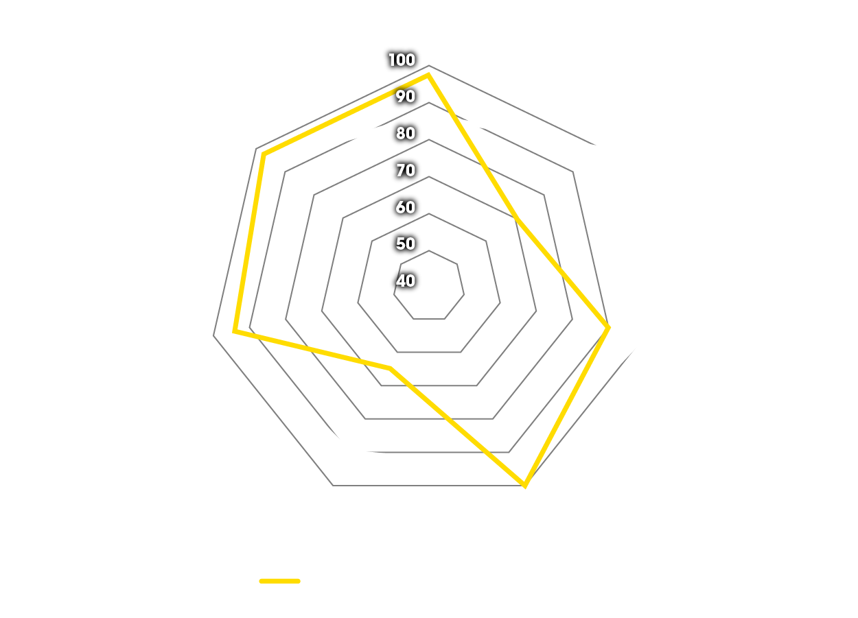 Diagramme en toile d'araignée des avantages des pneus sport et tourisme Dunlop sur la BMW GS