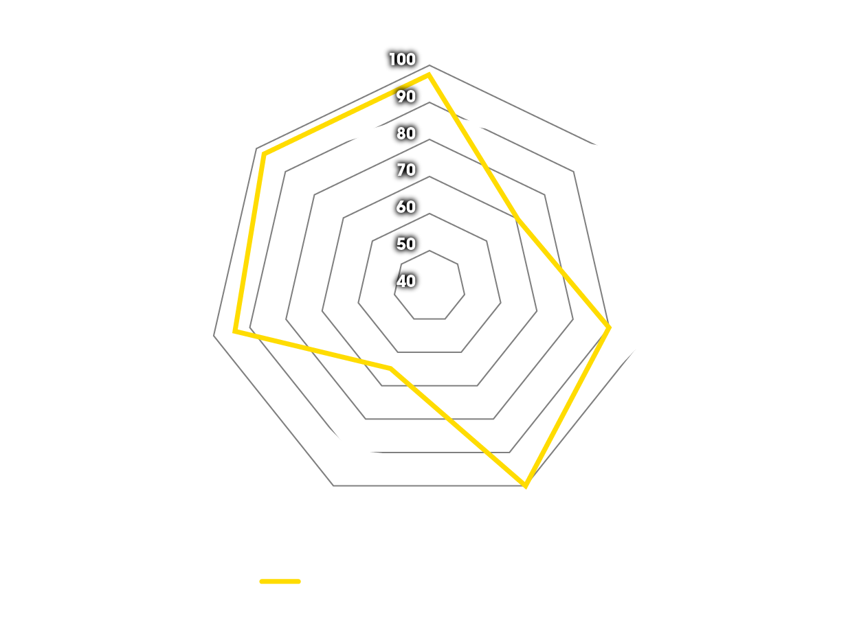 Spider diagram prednosti za Dunlop športne in touring pnevmatike na BMW GS